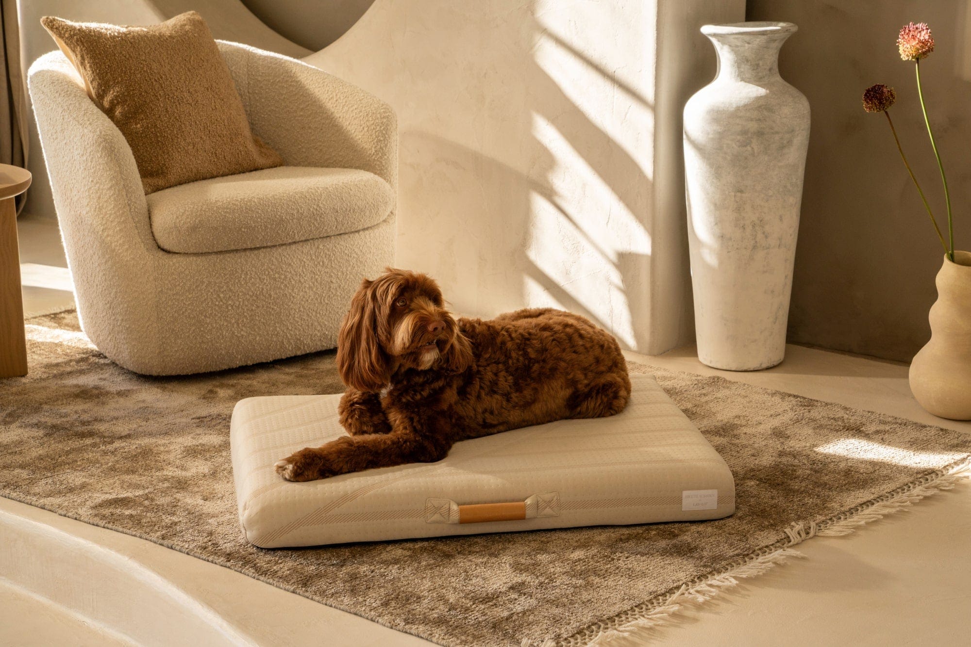 Brigette Romanek | Cream Dog Bed or Bed Cover - Image 2